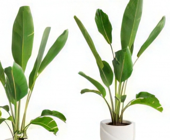 Modern Ground Green Plant Potted Plants-ID:904956102