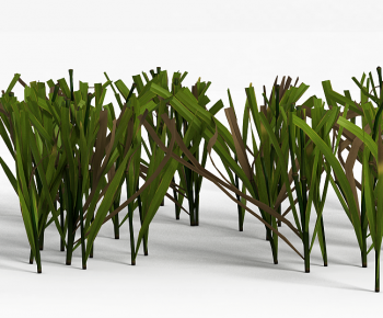 Modern The Grass-ID:751960044