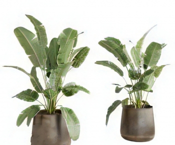 Modern Ground Green Plant Potted Plants-ID:469372032