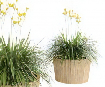Modern Ground Green Plant Potted Plants-ID:540381919