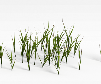 Modern The Grass-ID:527159939