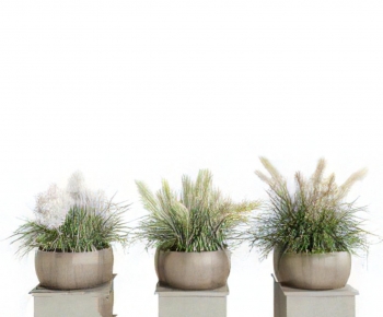 Modern Potted Green Plant-ID:888489967