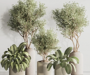 Modern Ground Green Plant Potted Plants-ID:185333971
