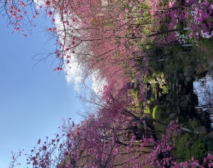 Modern Scenery-ID:964994912