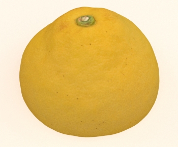 Modern Fruit-ID:292649982