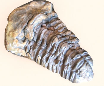 Modern Other-ID:514281037