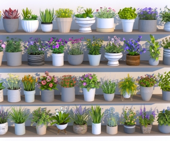 Modern Desktop Plant-ID:759410912