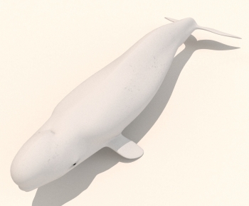 Modern Aquatic Animals-ID:135375989