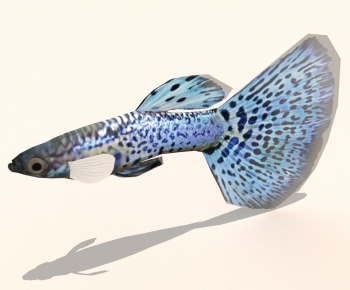 Modern Aquatic Animals-ID:214958913