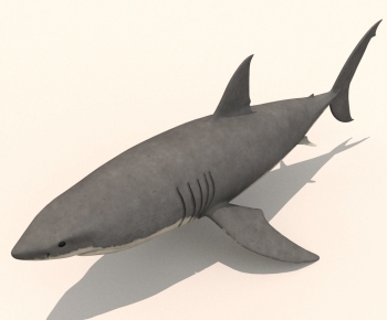 Modern Aquatic Animals-ID:553864007