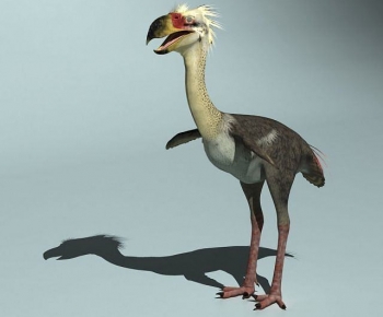 Modern Other Animals-ID:696311951