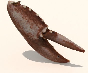 Modern Aquatic Product-ID:851527931