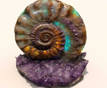 Modern Other-ID:116053108