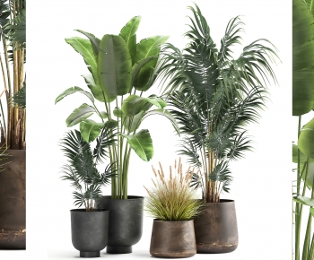 Modern Ground Green Plant Potted Plants-ID:397264003