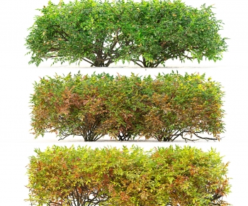 Modern Shrubbery-ID:632523069