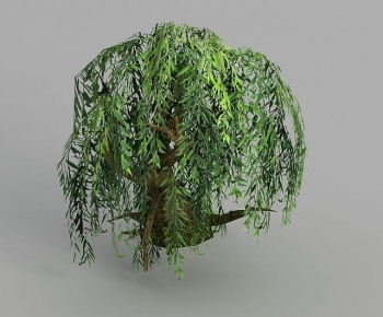 Modern Tree-ID:518398051