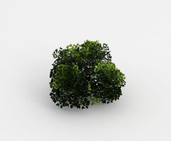Modern Shrubbery-ID:387417085