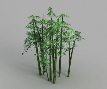 Modern Bamboo-ID:489330055