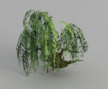 Modern Tree-ID:249540857