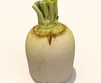 Modern Vegetables-ID:710541966