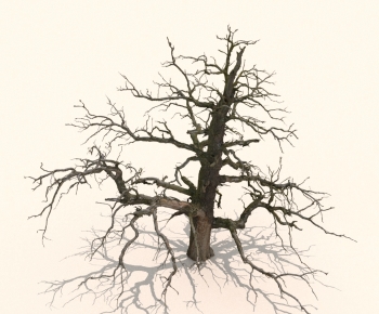 Modern Tree-ID:579751019