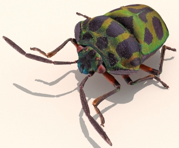 Modern Other Animals-ID:444633012