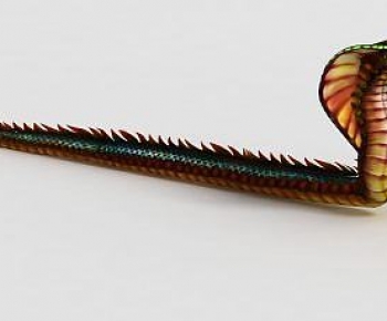 Modern Reptile-ID:713669068