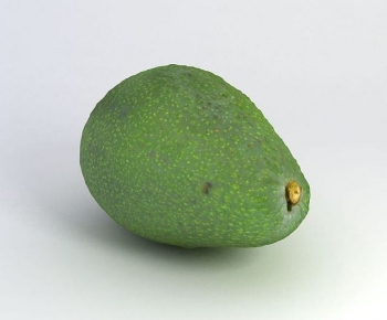 Modern Fruit-ID:568099029