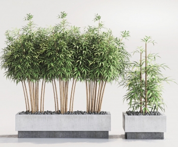 Modern Flower Bed, Flower Bowl, Flower Box-ID:213423012