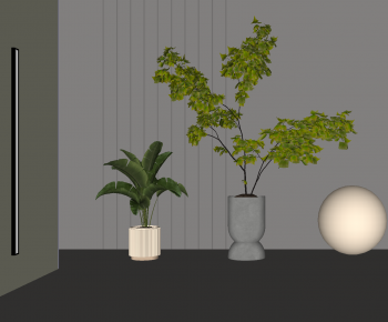 Modern Ground Green Plant Potted Plants-ID:708110091