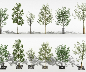 Modern Tree-ID:476622105