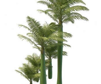Modern Tree-ID:677381048