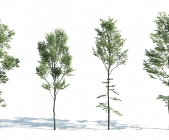 Modern Tree-ID:844367982