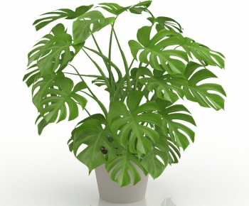 Modern Potted Green Plant-ID:553600833