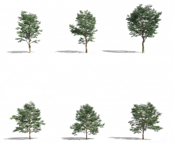 Modern Tree-ID:692627915