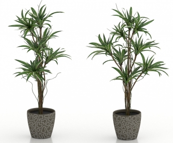 Modern Ground Green Plant Potted Plants-ID:820362099