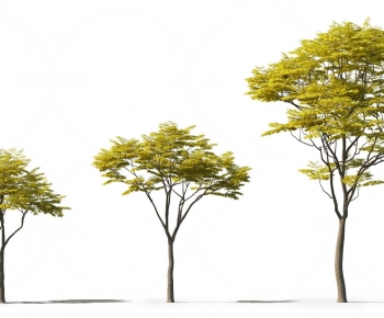 Modern Tree-ID:203603037