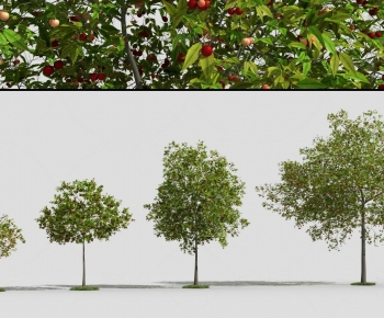 Modern Tree-ID:924499038