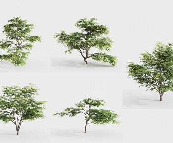 Modern Tree-ID:392160458