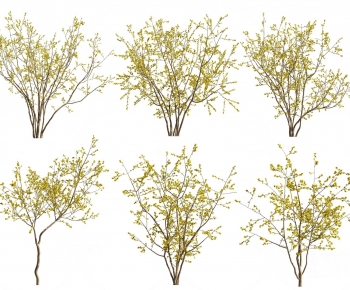 Modern Tree-ID:129407881