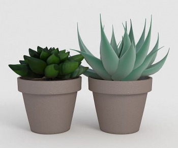 Modern Desktop Plant-ID:616497042