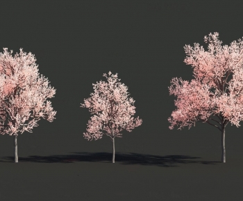 Modern Tree-ID:333462009