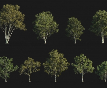 Modern Tree-ID:906856061