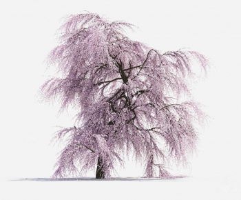 Modern Tree-ID:945055017