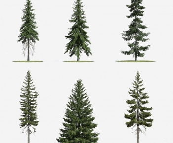 Modern Tree-ID:846416002