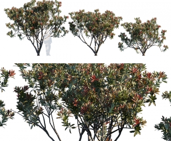 Modern Tree-ID:610524895