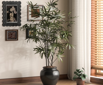 Modern Ground Green Plant Potted Plants-ID:250128036