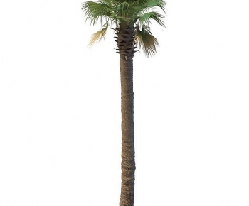 Modern Tree-ID:930047044