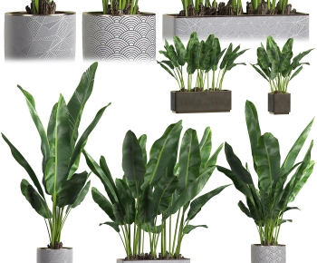 Modern Ground Green Plant Potted Plants-ID:906892069