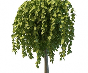 Modern Tree-ID:850679934